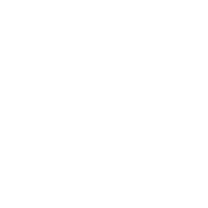 shower icon