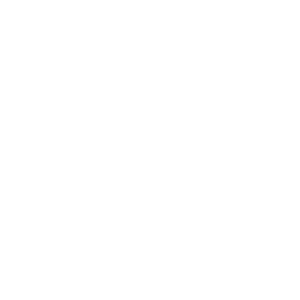 thermal imaging icon