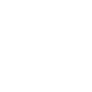 Toilet unblocking service icon