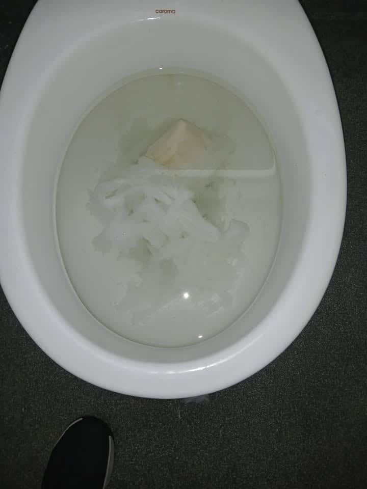 School toilet backed up hastings