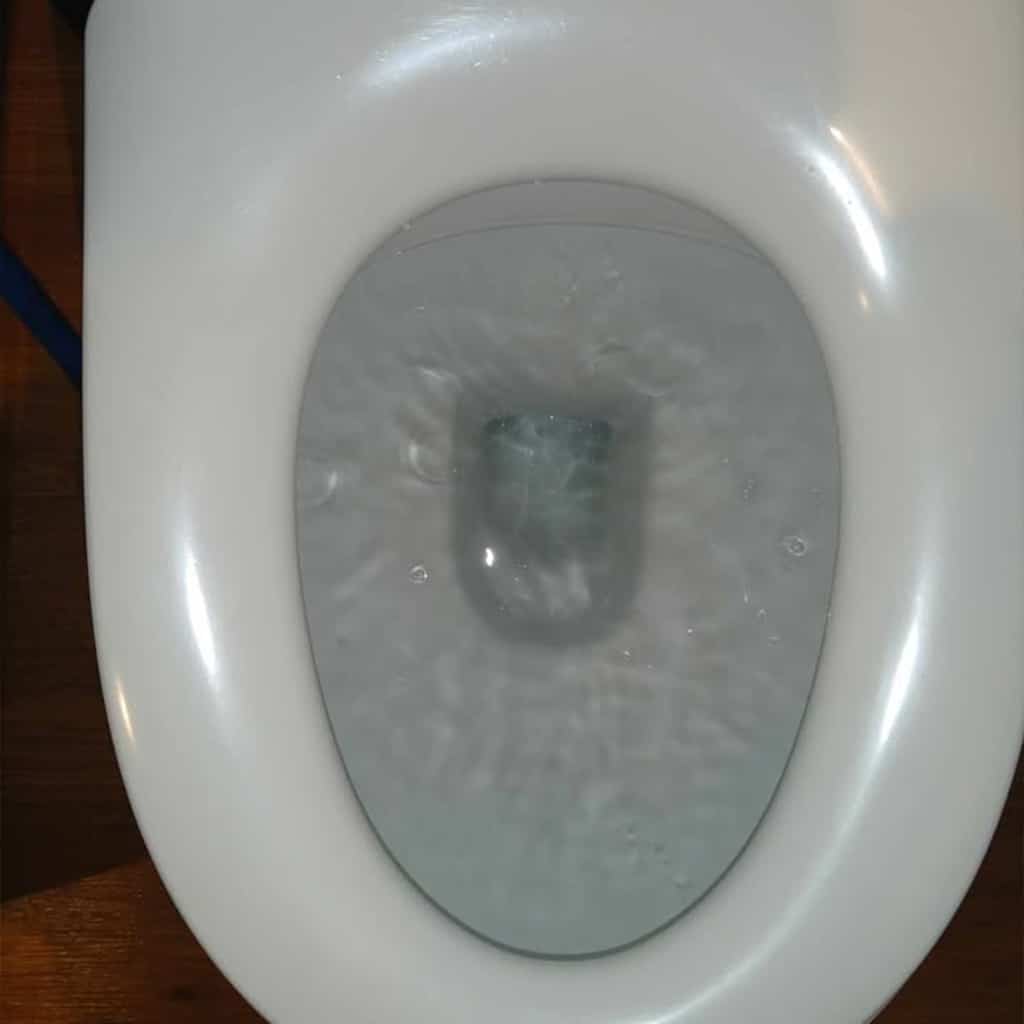 toilet blocked in hastings, raised and holding